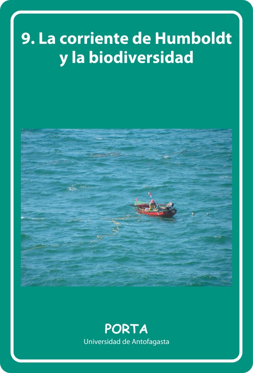 Portada Frontal